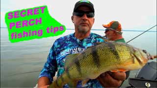 How to catch Mid-Summer JUMBO PERCH!!!