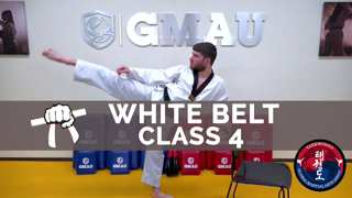 Taekwondo Follow Along Class - White Belt - Class #4