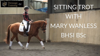 Sitting Trot  - Dressage Training