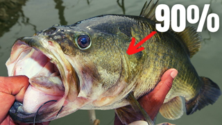 90% of BASS FISHING in 15 Minutes