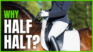 Reasons For The HALF-HALT From The Complete Online Dressage Course | How To Dressage