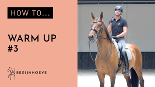 How to warm up your horse? | Begijnhoeve | How to #3