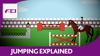 Introduction to Jumping