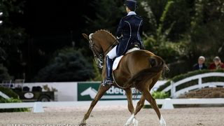 How to get your horse to stop leaning on the bit, Dressage training with Catherine Haddad Staller