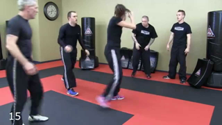 Beginner Krav Maga Complete 30 Minute Class (Warm Up, Drills, Practice)