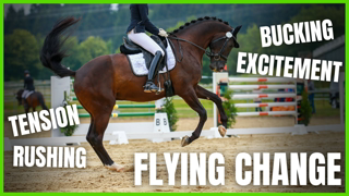 RUSHING, TENSION & EXCITEMENT during FLYING CHANGES from The Complete Online Dressage Course