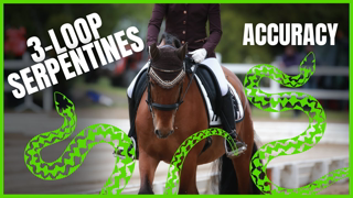 Arena Geometry of 3-LOOP SERPENTINES from The Complete Online Dressage Course | How To Dressage