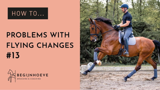 How To Fix Flying Changes with a Young Horse | Dressage Tutorial | Begijnhoeve | How to #13