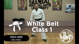 Shotokan Karate Follow Along Class - 9th Kyu White Belt - Class #1