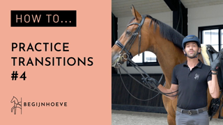 How to prepare your horse for transitions? | Begijnhoeve | How to #4