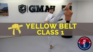 Taekwondo Follow Along Class - Yellow Belt - Class #1