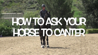 How to ask your horse to canter