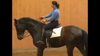 More in-depth skeletal riding and obtaining flexion With Catherine Haddad