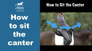 Canter Seat: How to Sit the Canter