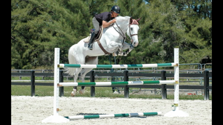 Horse Jumps ProTips - Ride-A-Course with Todd Minikus