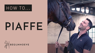 How to train Piaffe? | Begijnhoeve | How to #1