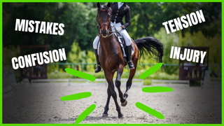 Why YOU MUST Have PATIENCE in Dressage Training from The Complete Online Dressage Course