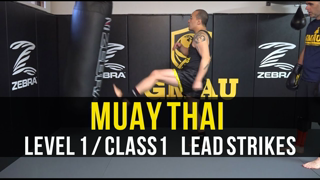 Muay Thai - Level 1 - Class 1 (Lead Strikes)