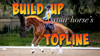 Training and Nutrition for Your Horse's Topline